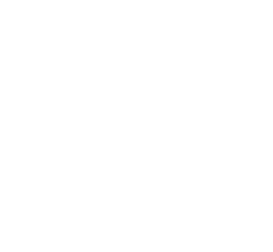 Audi F1 Team